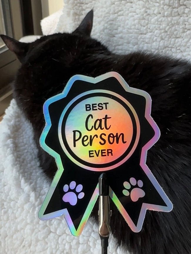 Purrfect Little Gifts