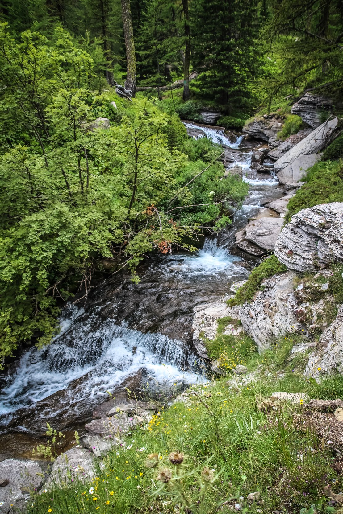 Alpine Serenity – Wild Mountain Stream product image (1)