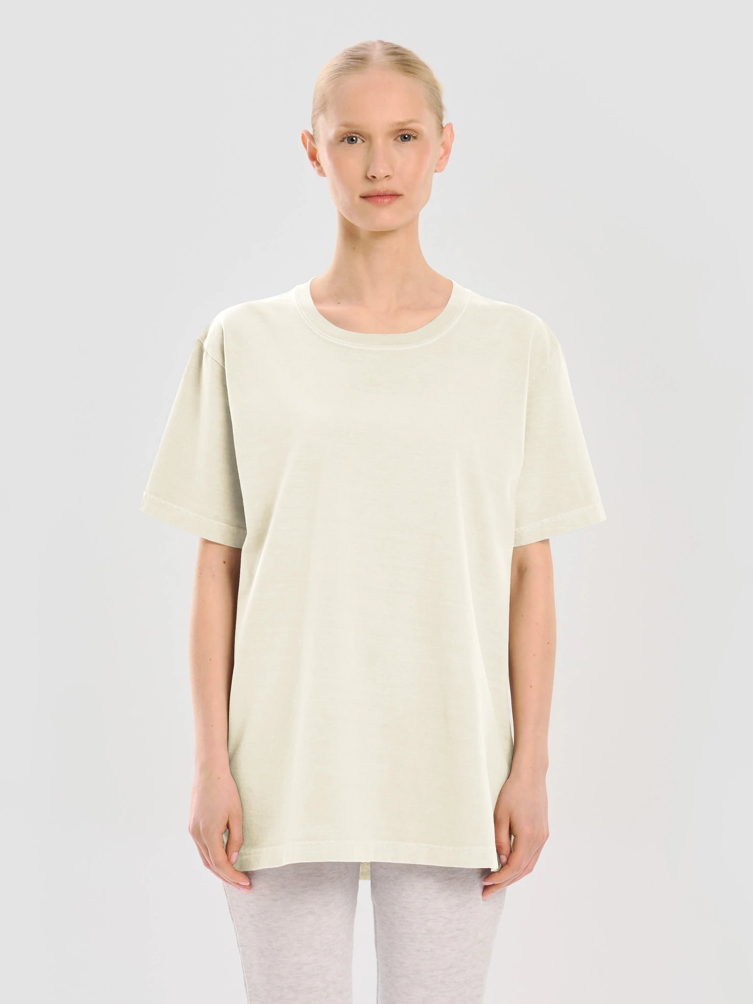 Dasheri · Chausa · Langra · Alphonso (Heavyweight Tee, Back Print) product image (9)