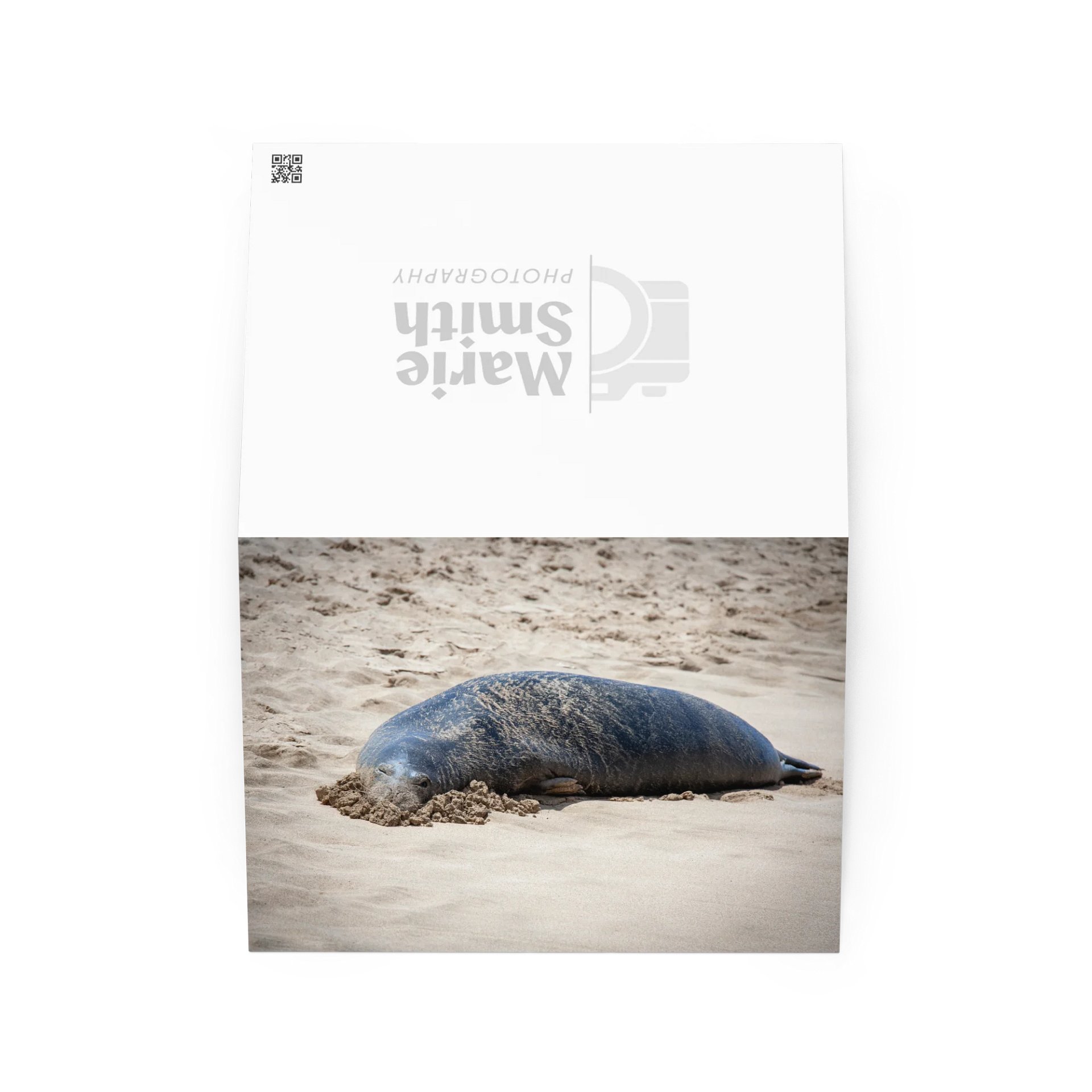 Sandy Seal Greeting product image (2)