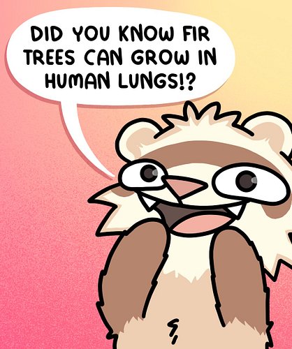 Five minutes now... Hope you have your torches ready! 🥲 What random fact haunts you at night? #Ferrets #randomfacts #cute #comic