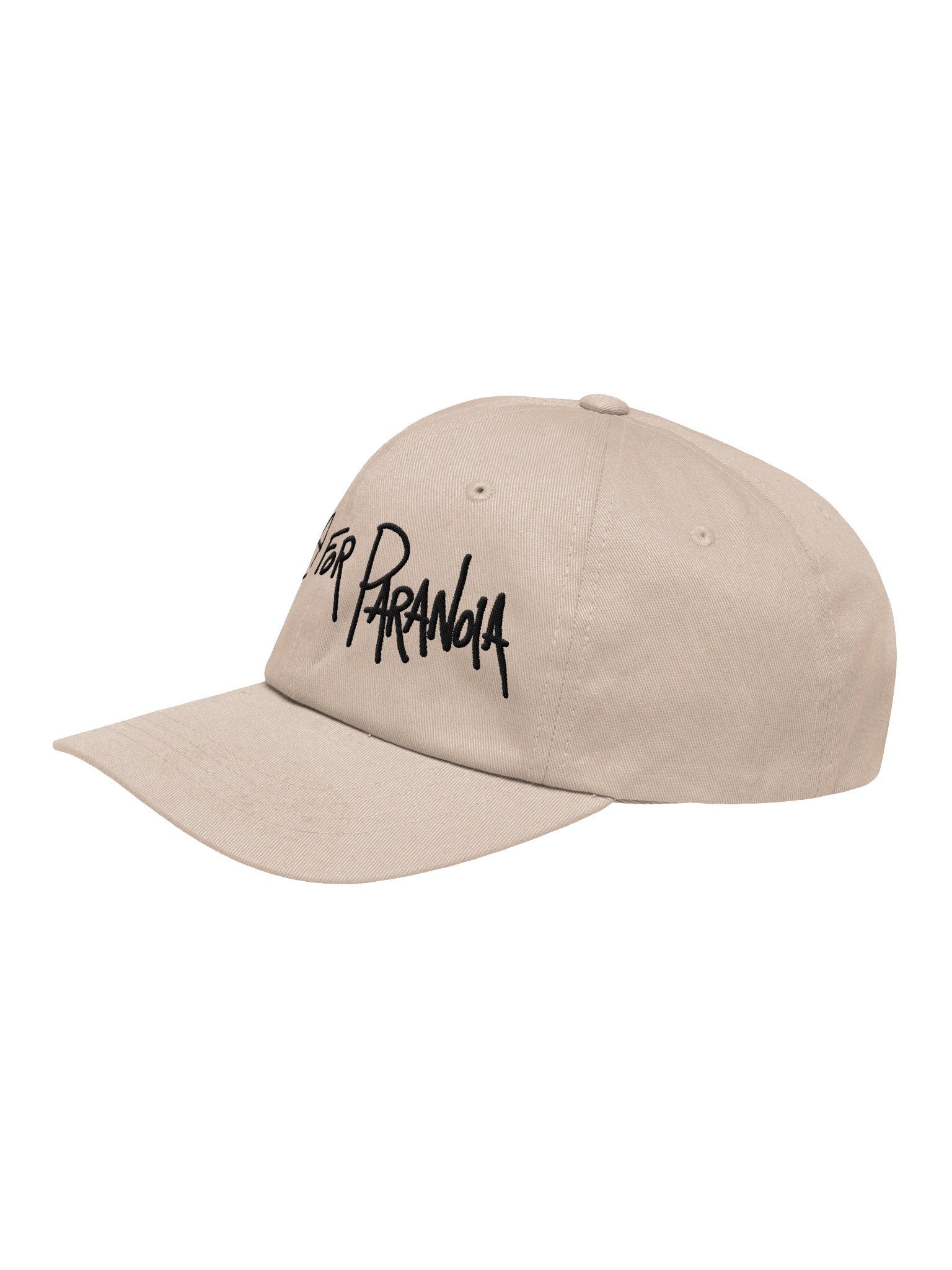 Handwrtten Dad Hat product image (2)