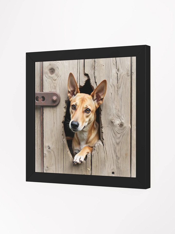 Rustic Wood Fence Peeker Framed Print product image (23)