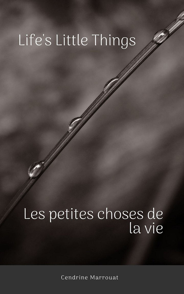 Life's Little Things - Les petites choses de la vie product image (1)