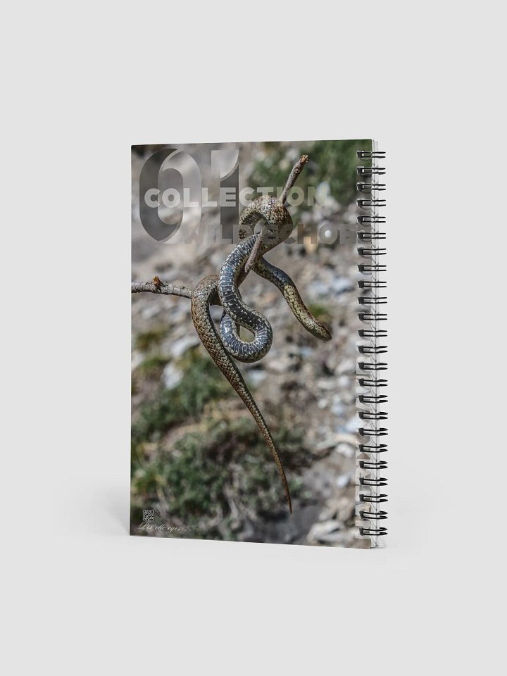 Wild Echoes Notebook – Natrix Maura – A5 Format product image (2)
