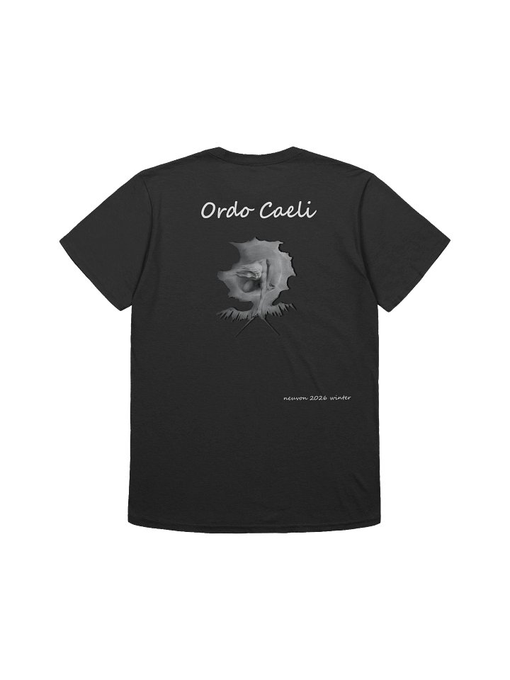Ordo Caeli Softstyle T-Shirt - Winter 2026 product image (2)