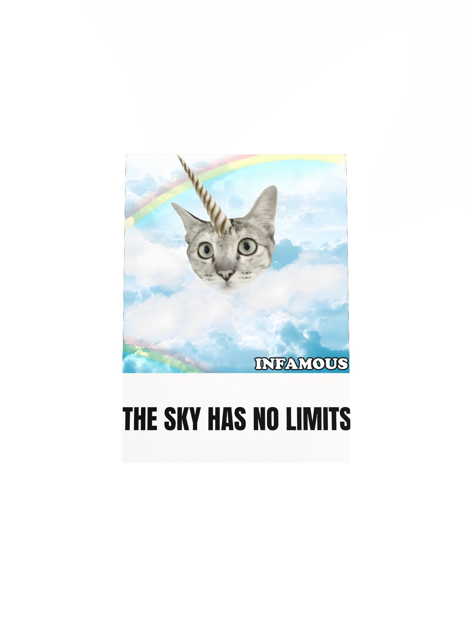 The Sky Has No Limits Cat Poster product image (8)