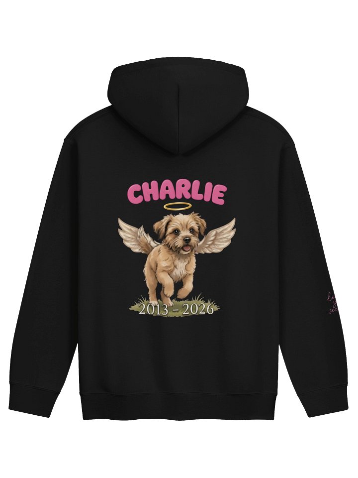 LIMITED EDITION- Bold Graphic Hoodie product image (2)