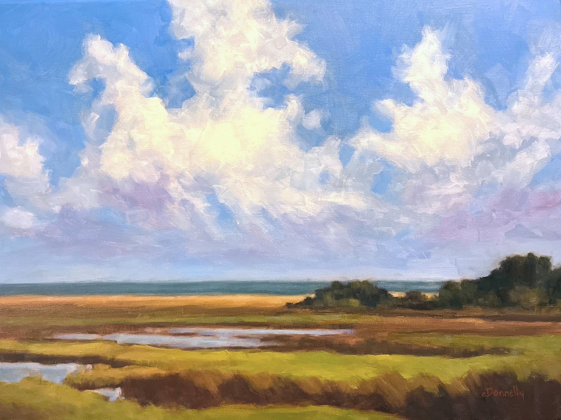 Pea Island Vista product image (1)