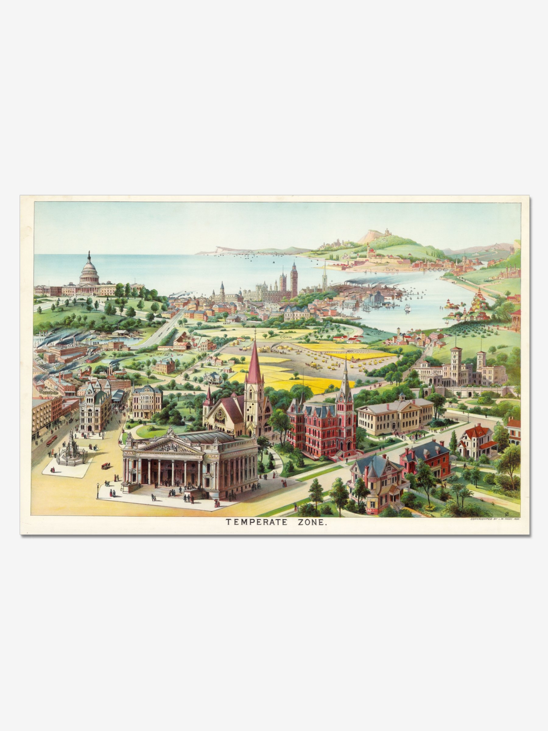 Temperate Zone Poster product image (1)