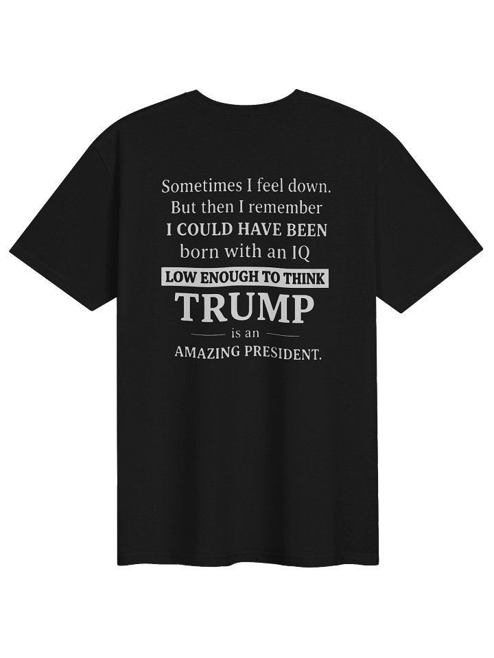 Sometimes I Feel Down I Could Have Been Trump Shirt product image (1)