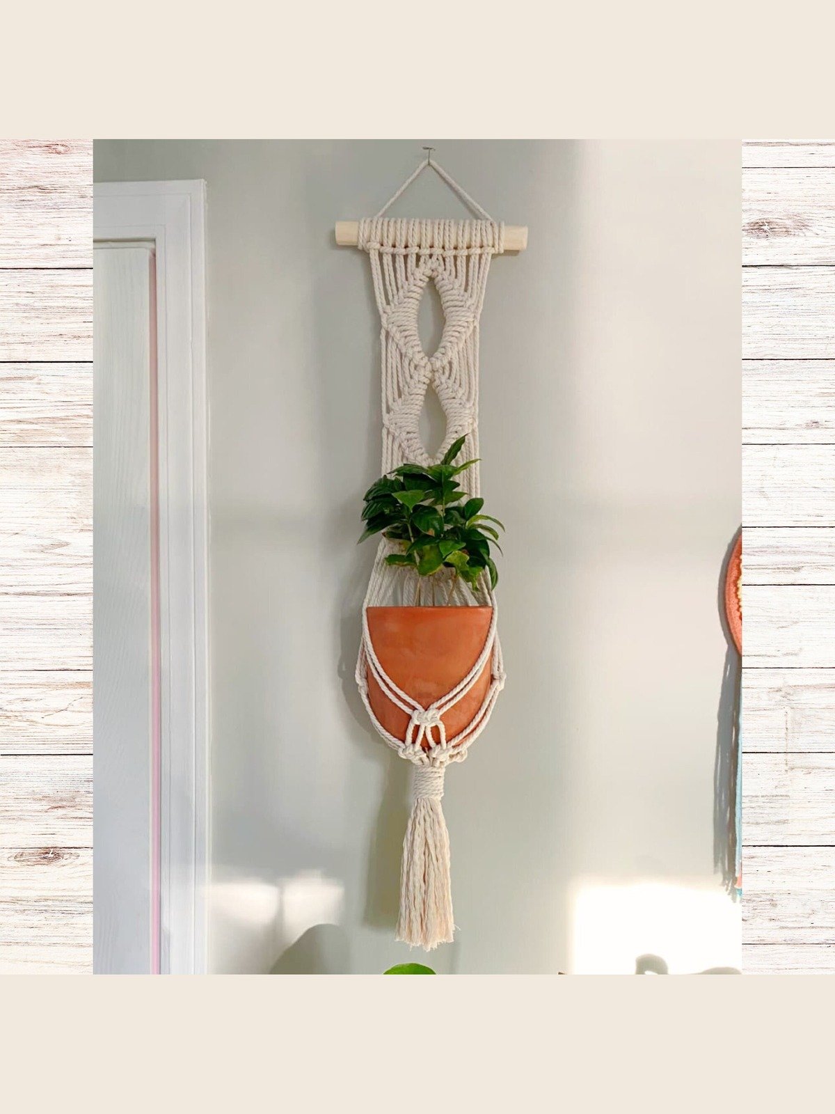 Macrame Plant Hanger Bundle (Digital PDF Patterns) product image (5)