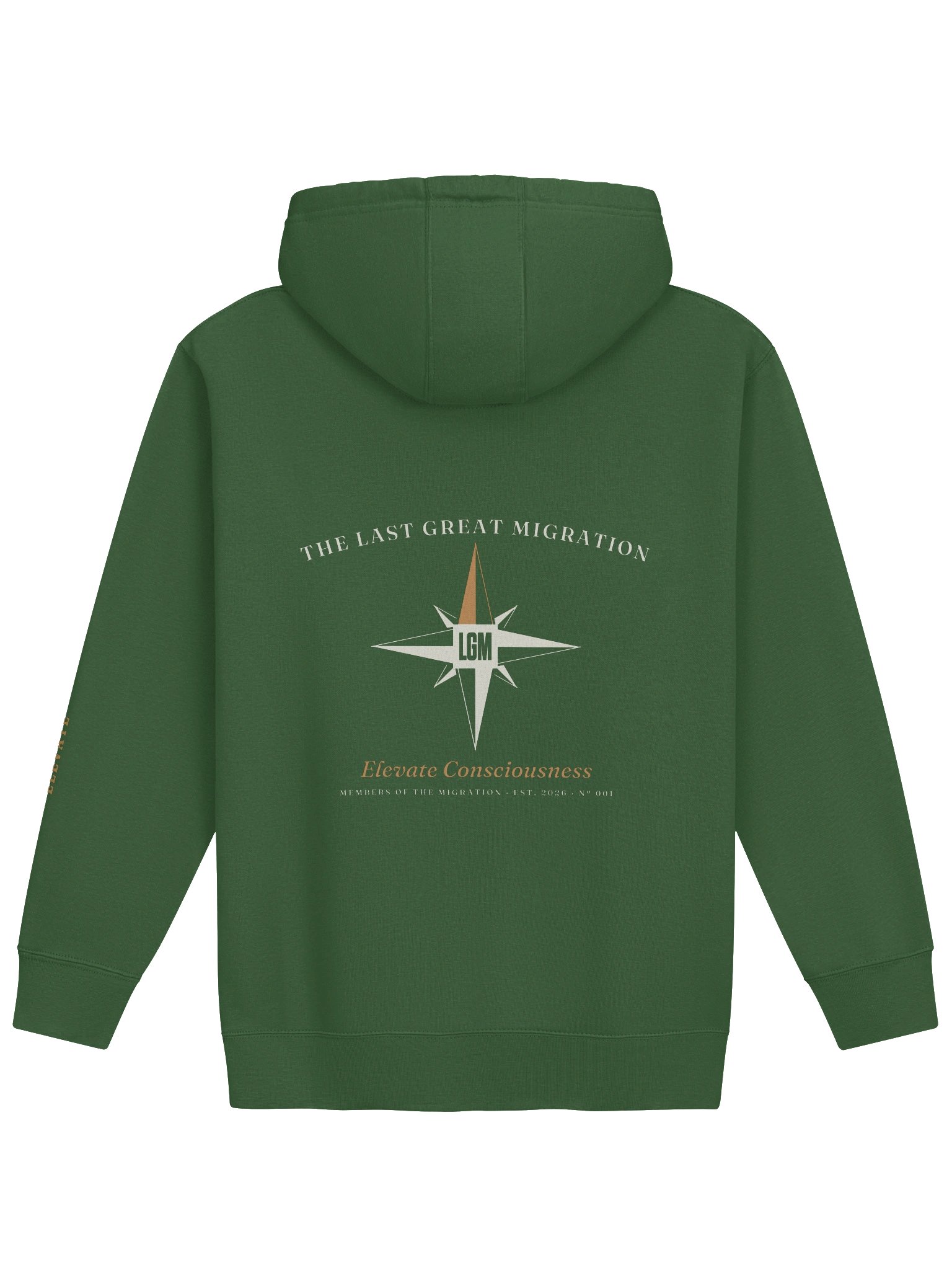 The Elevation Hoodie (Center LG) product image (9)