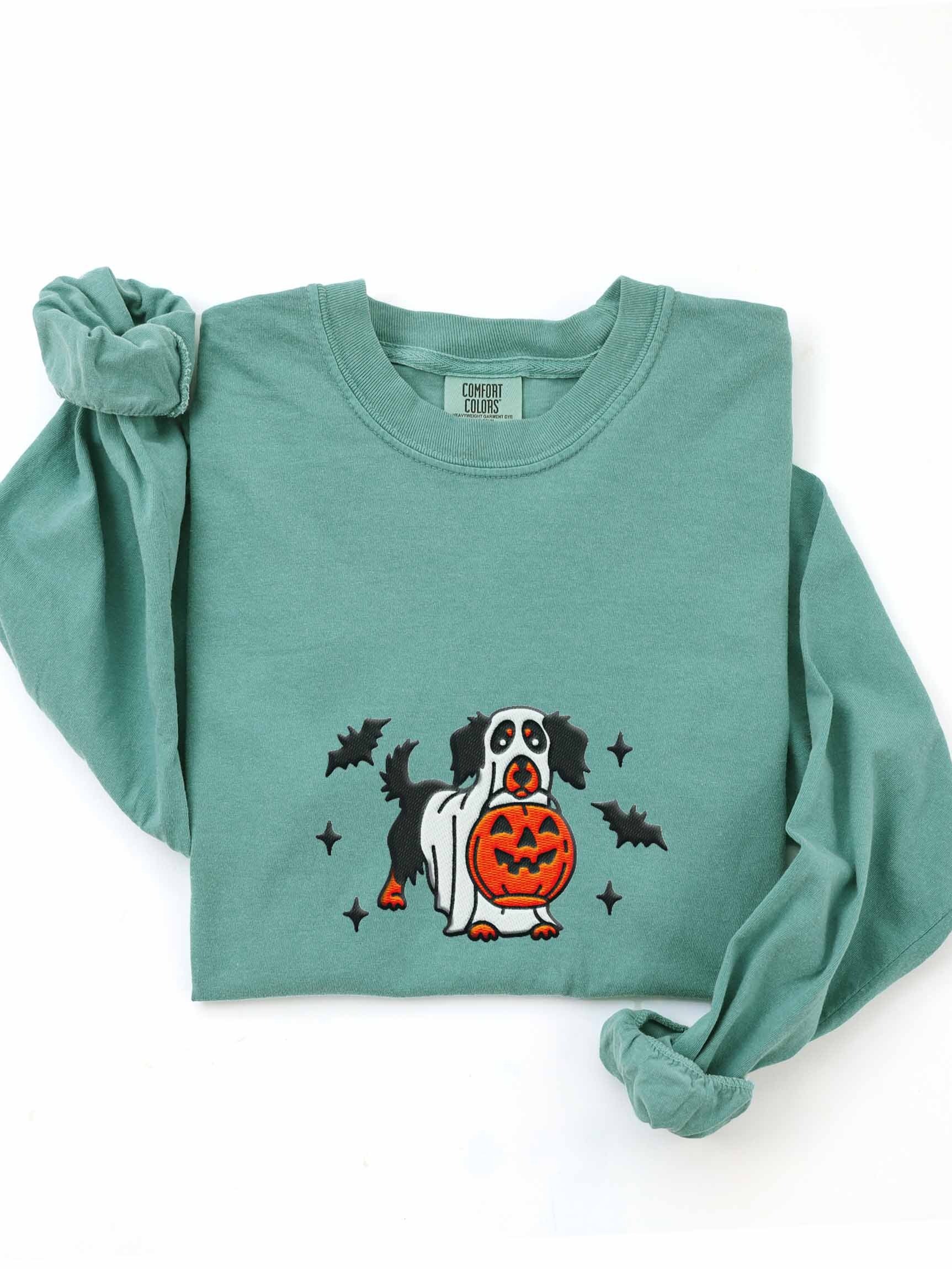 Halloween Longhaired Dachshund(Black & Tan) Embroidered Long-sleeved T-Shirt product image (1)