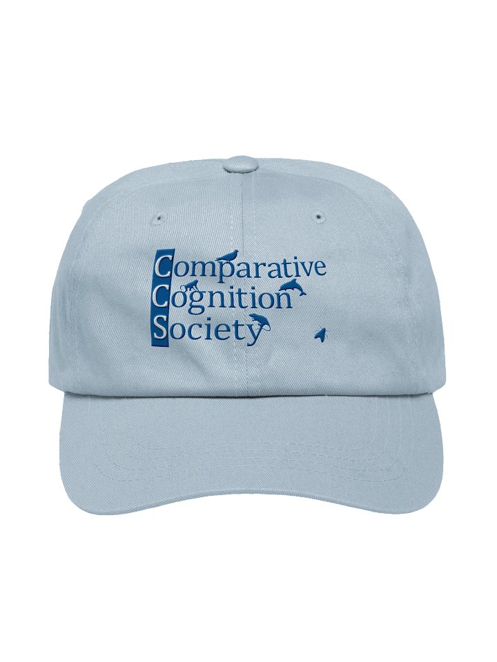 CCS Baseball Cap product image (9)