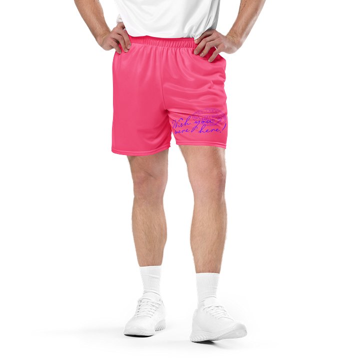 L'Agence Wish You Were Here! Mesh Shorts Pink product image (1)