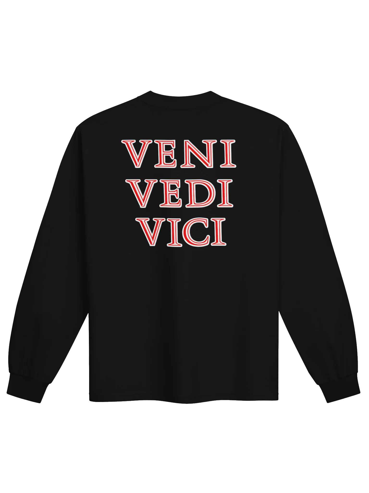 VENI VEDI VICI Long Sleeve Tee product image (2)