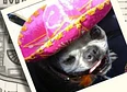 mels angels pit stop's tag thumbnail