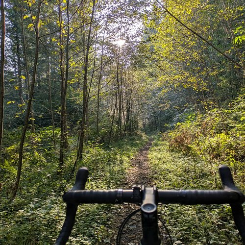 Ride bikes... often. #dropbarsondirt #gravelbike