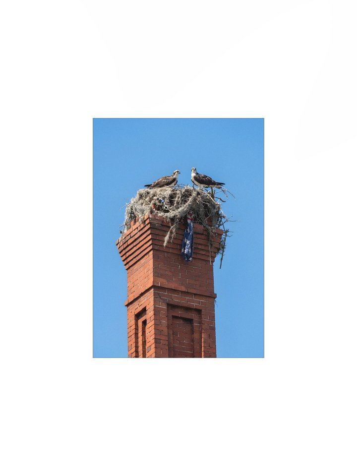 The Osprey's Chimney product image (1)