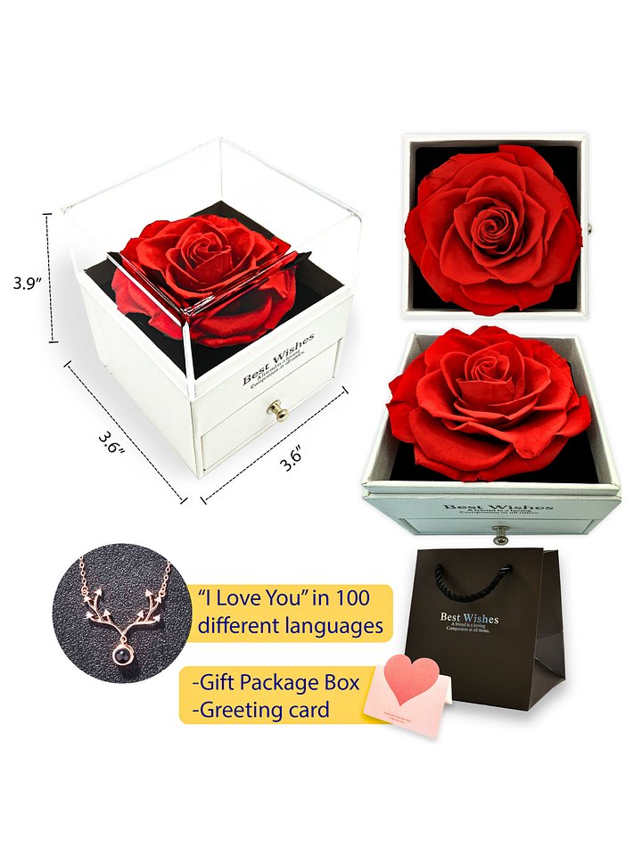 Eternal Rose Gift Box with "I Love You" Necklace (red) product image (1)