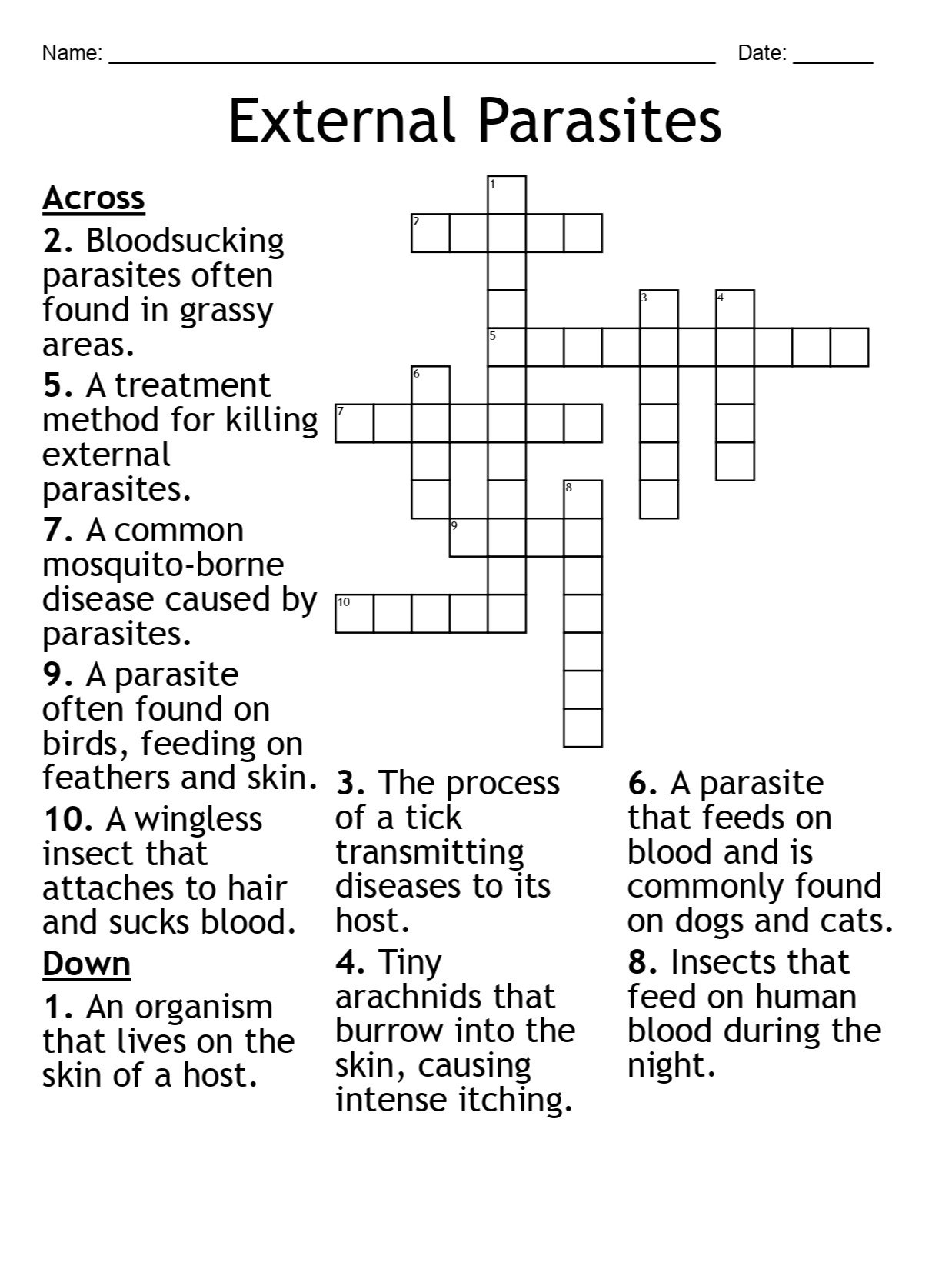 External Parasites Crossword Puzzle: Engaging Life Science Activity product image (1)