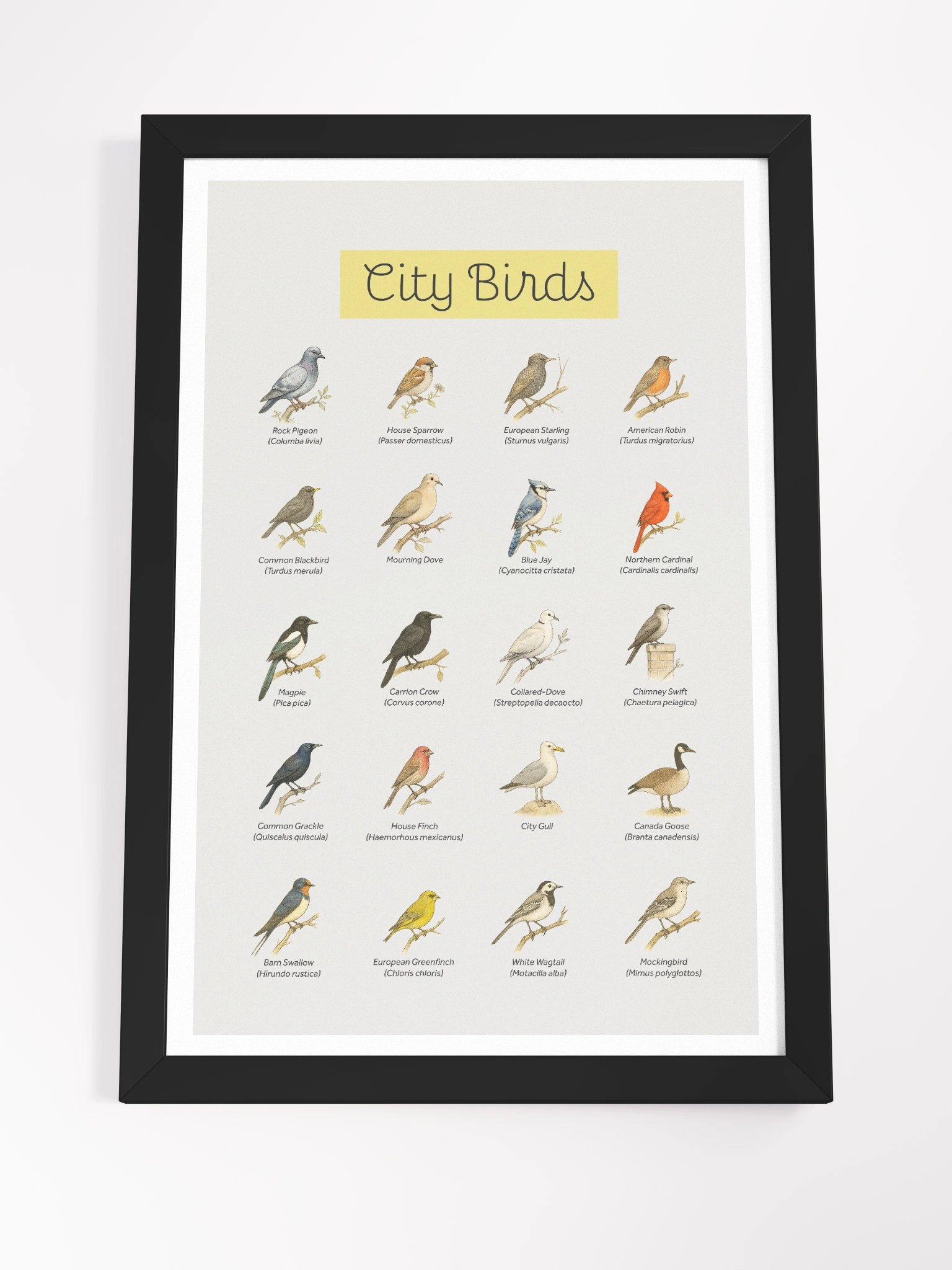 City Birds Framed Art Print product image (8)