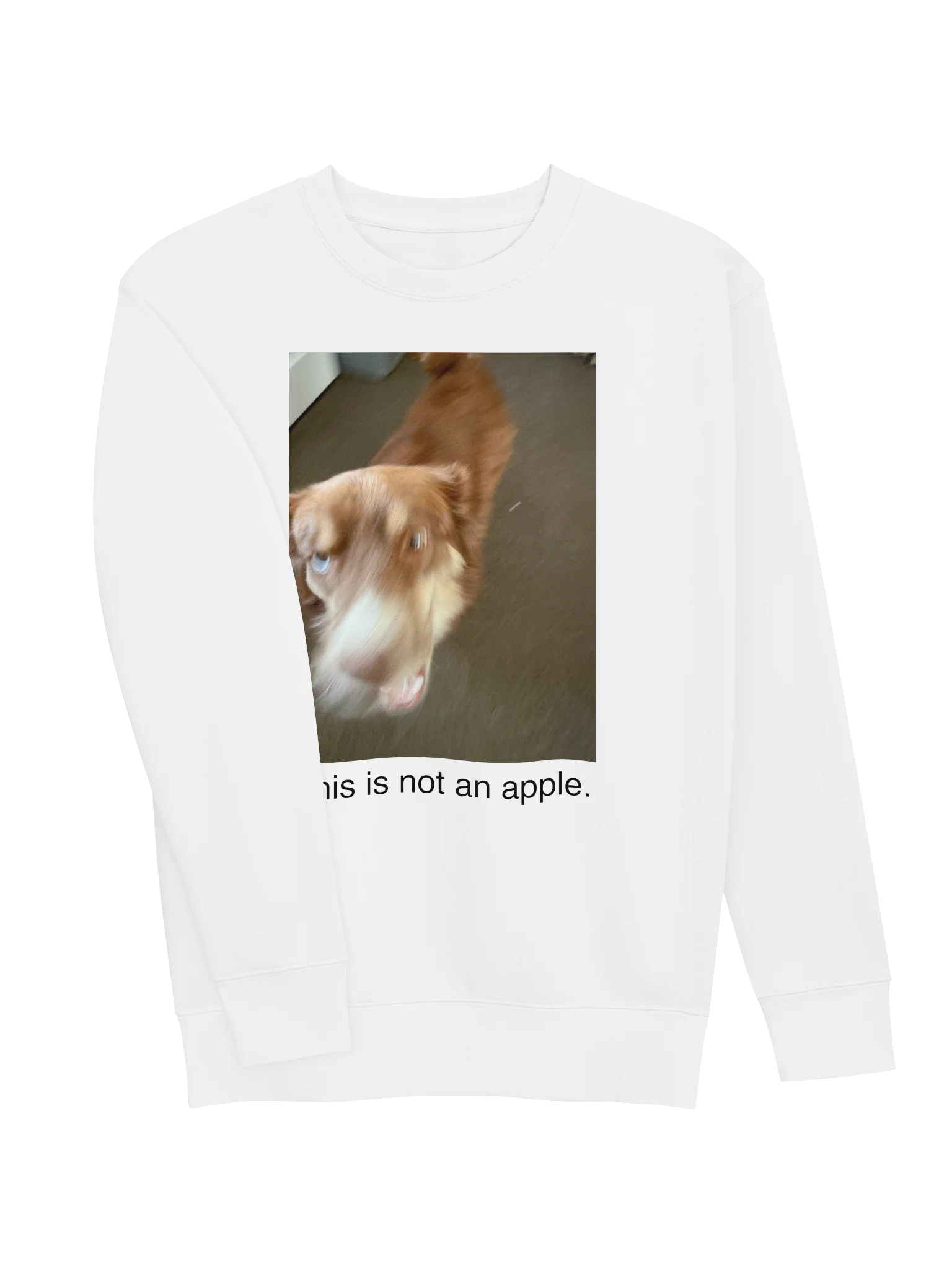 This is a dog. product image (3)