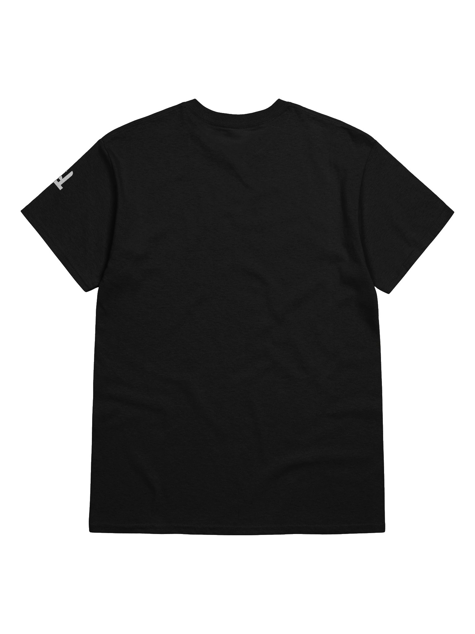 DELMØNTIS Studio Tee product image (3)