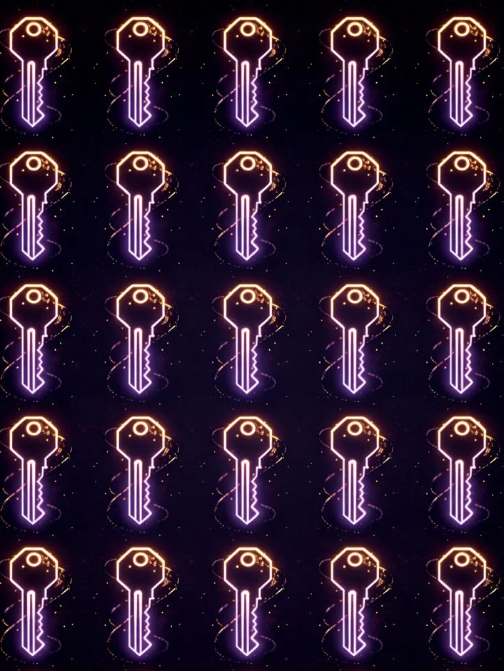 25 Licenses product image (1)