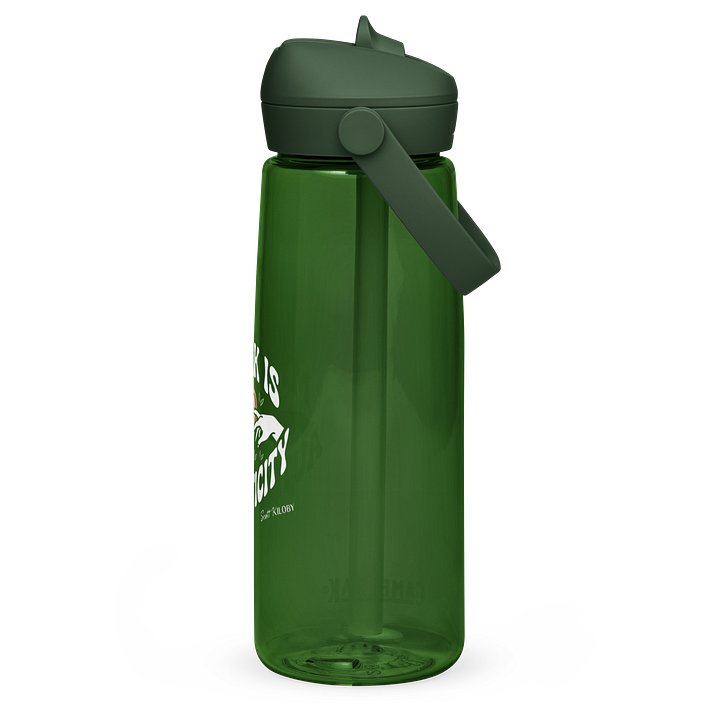 “My Kink Is Authenticity” Green Flip Straw Water Bottle product image (2)