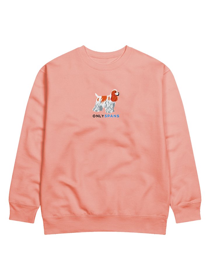 Only Spans Sweatshirt (Embroidered) of an American Cocker Spaniel(Parti Red and White) product image (29)