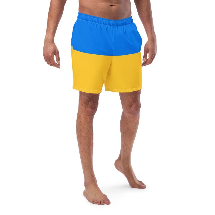 Sunshine Splash Swim Shorts product image (1)