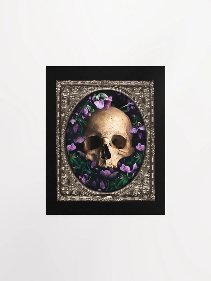 Spirit product image (1)