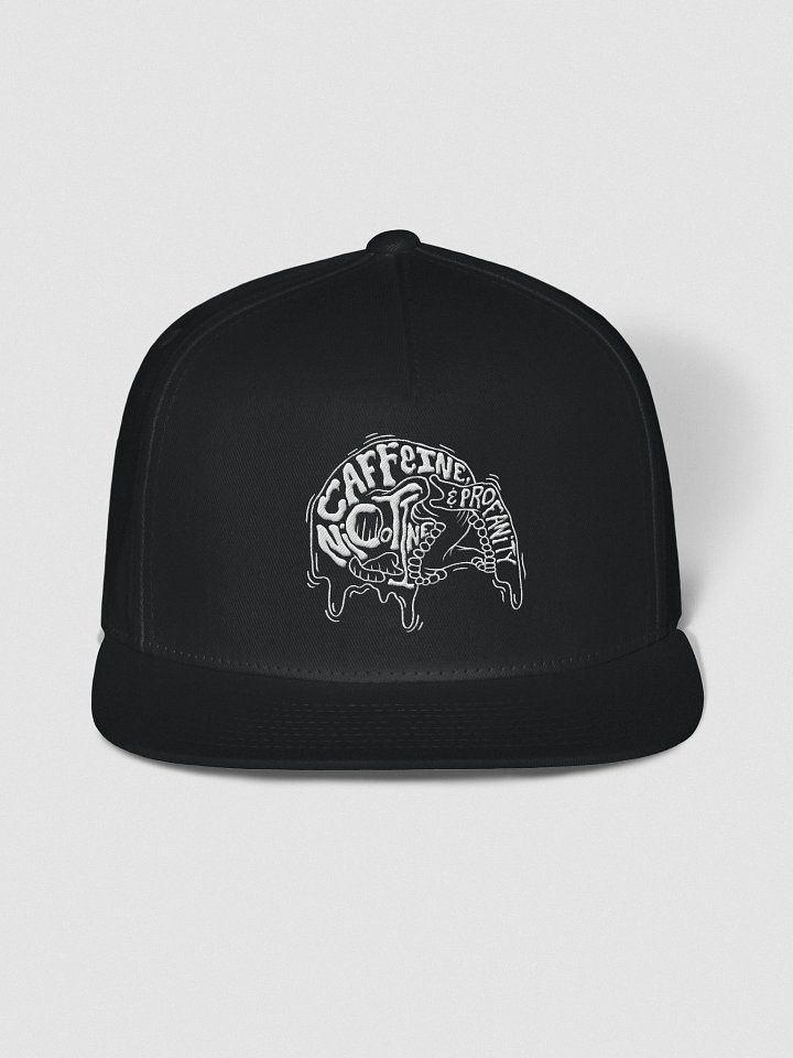 Caffeine, Nicotine & Profanity Hat product image (1)