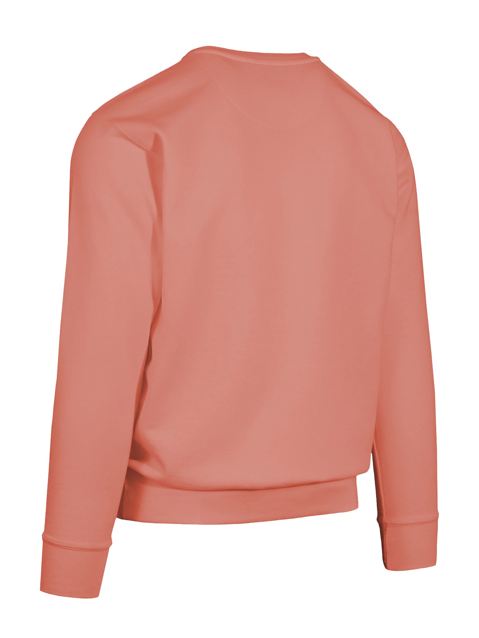 Adult crew neck product image (12)