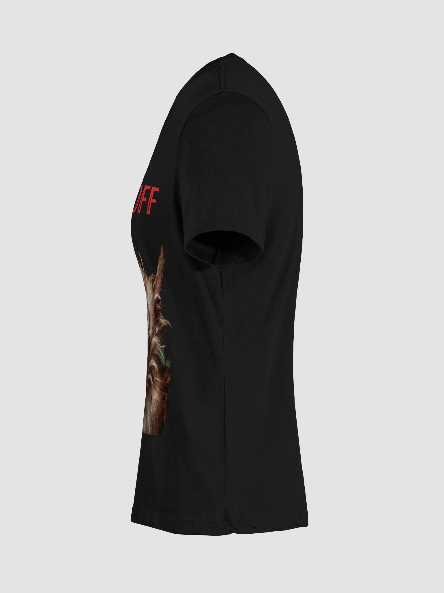 Piss Off Womans V-Neck Tee product image (49)