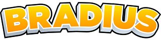 Bradius Store