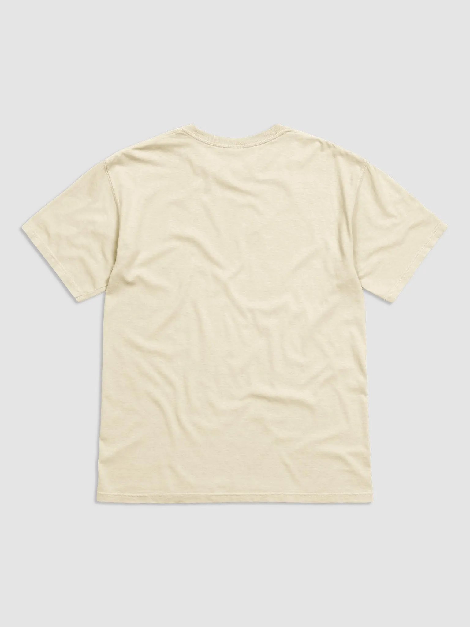 citrus print / t-shirt product image (15)