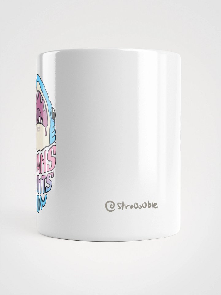 mug : trans rights now product image (2)