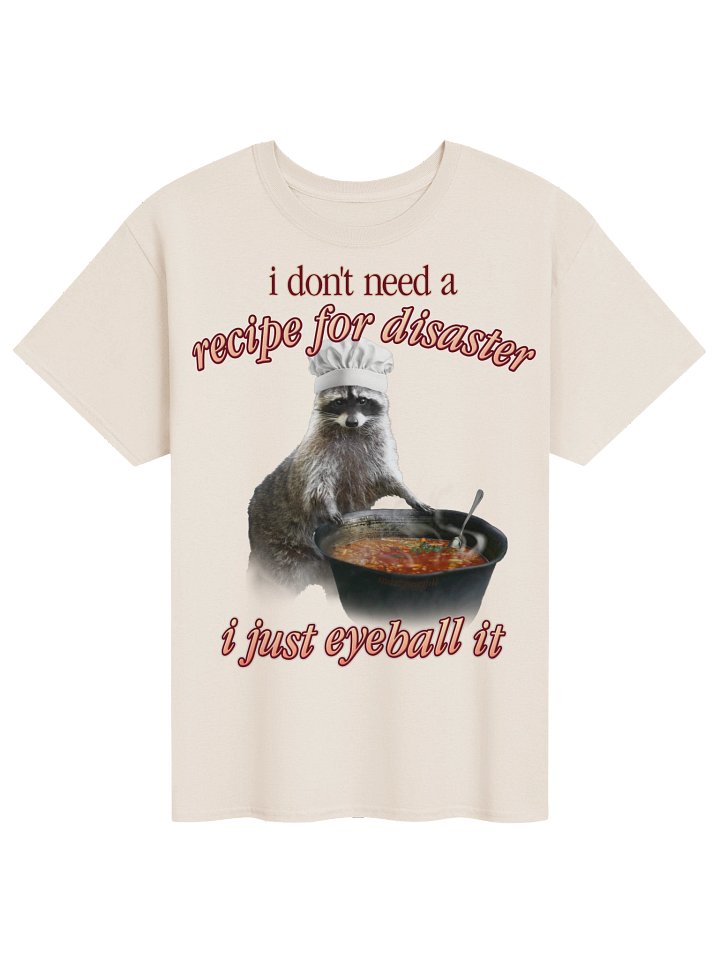 Recipe for Disaster Raccoon T-shirt product image (1)