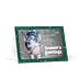 Holiday card - Pig