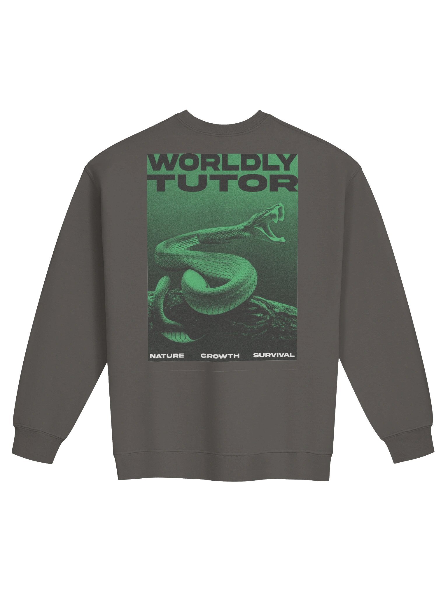 Worldly Tutor product image (1)