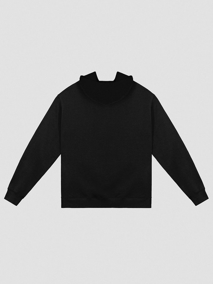 Embroidered Anti JavaScript JavaScript Club AS Colour Hoodie product image (2)