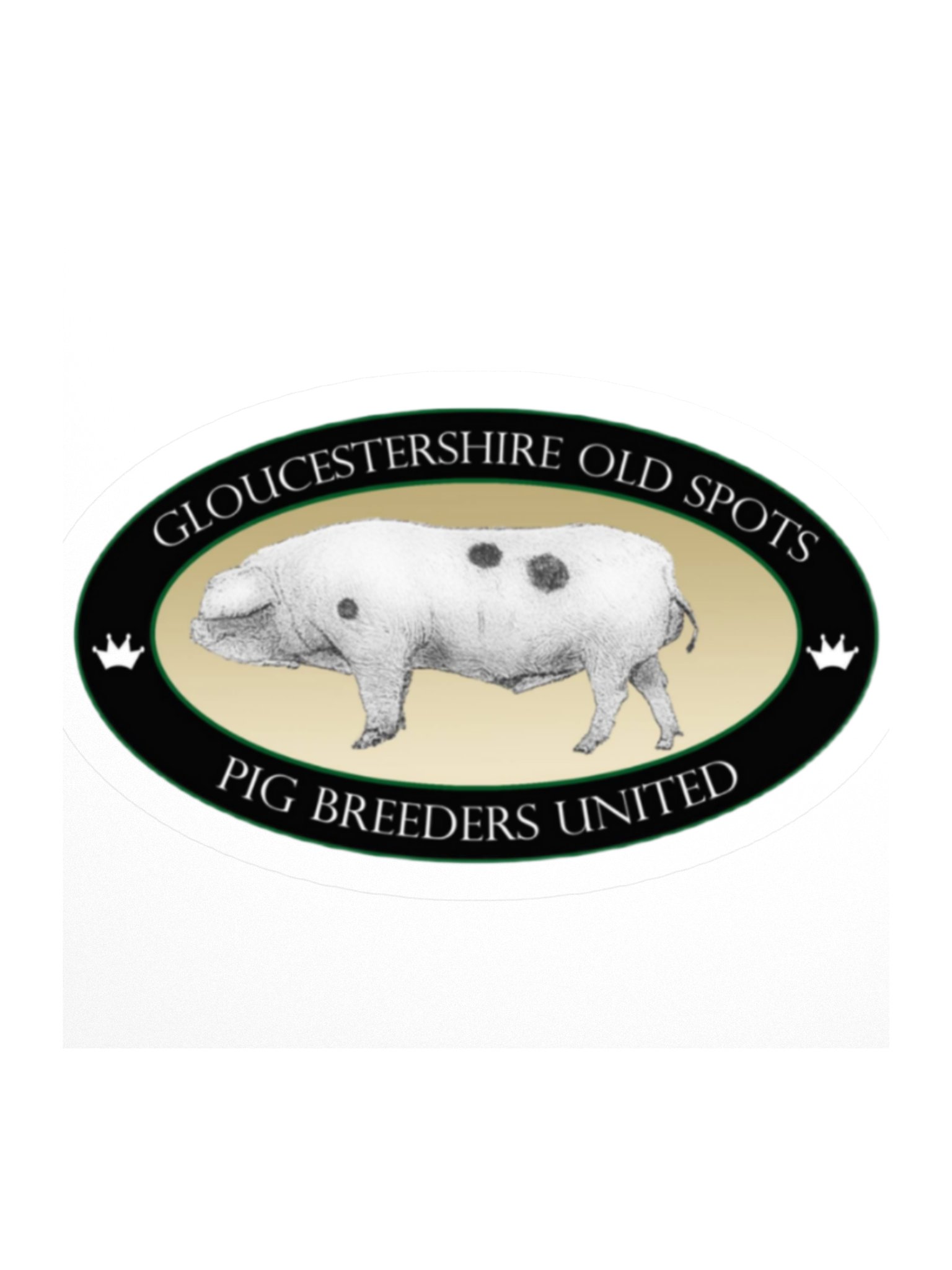Vintage Gloucestershire Pig Breeders Stickers product image (1)
