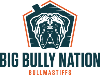 Big Bully Nation