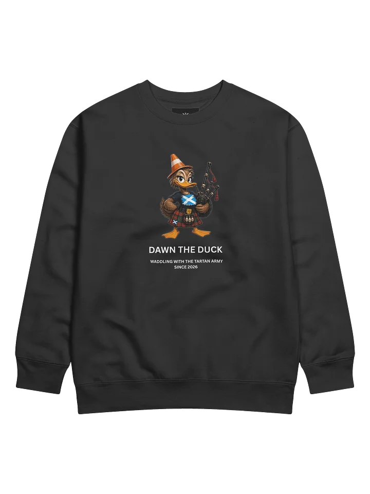 Sweatshirt product image (5)