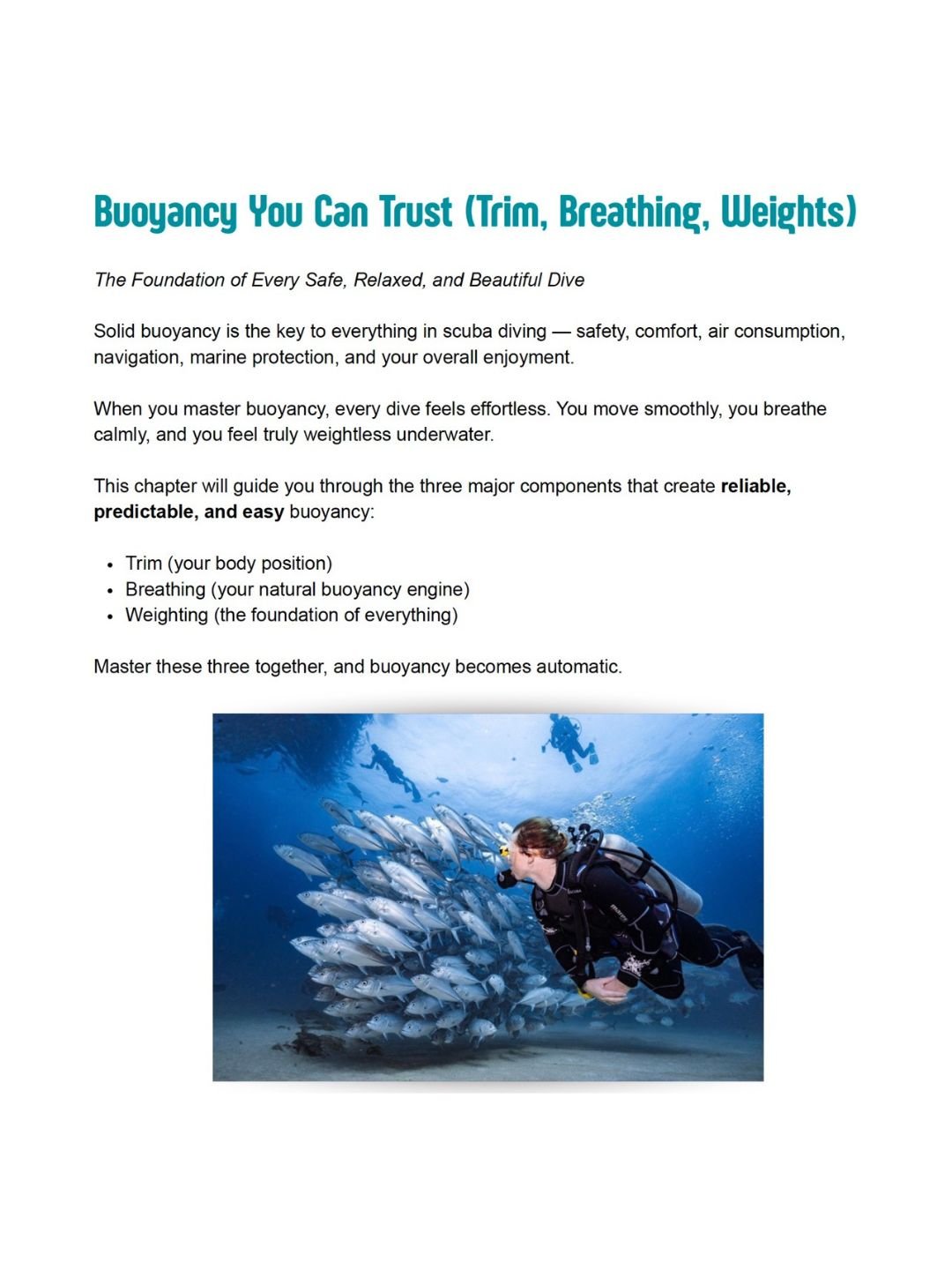 Ultimate Scuba Diving Tips – 100 Essential Tips to Dive Better, Safer, and More Confidently product image (6)