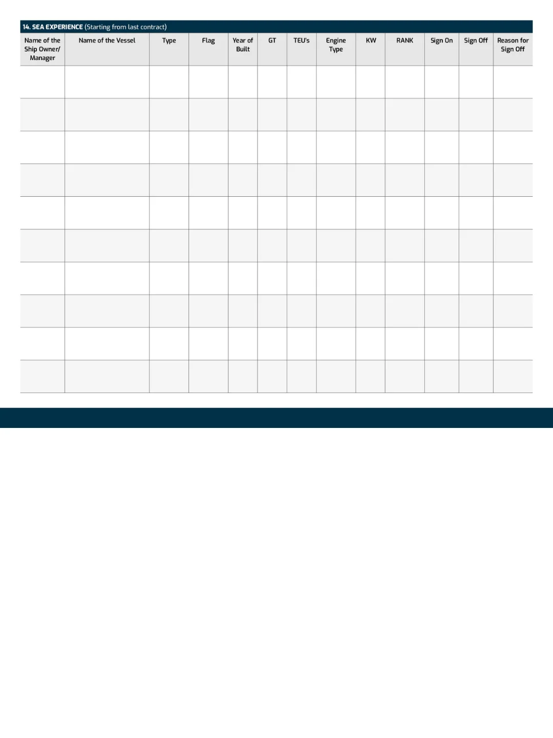 Professional Seafarer CV Template (ATS Friendly & International Standard) product image (5)