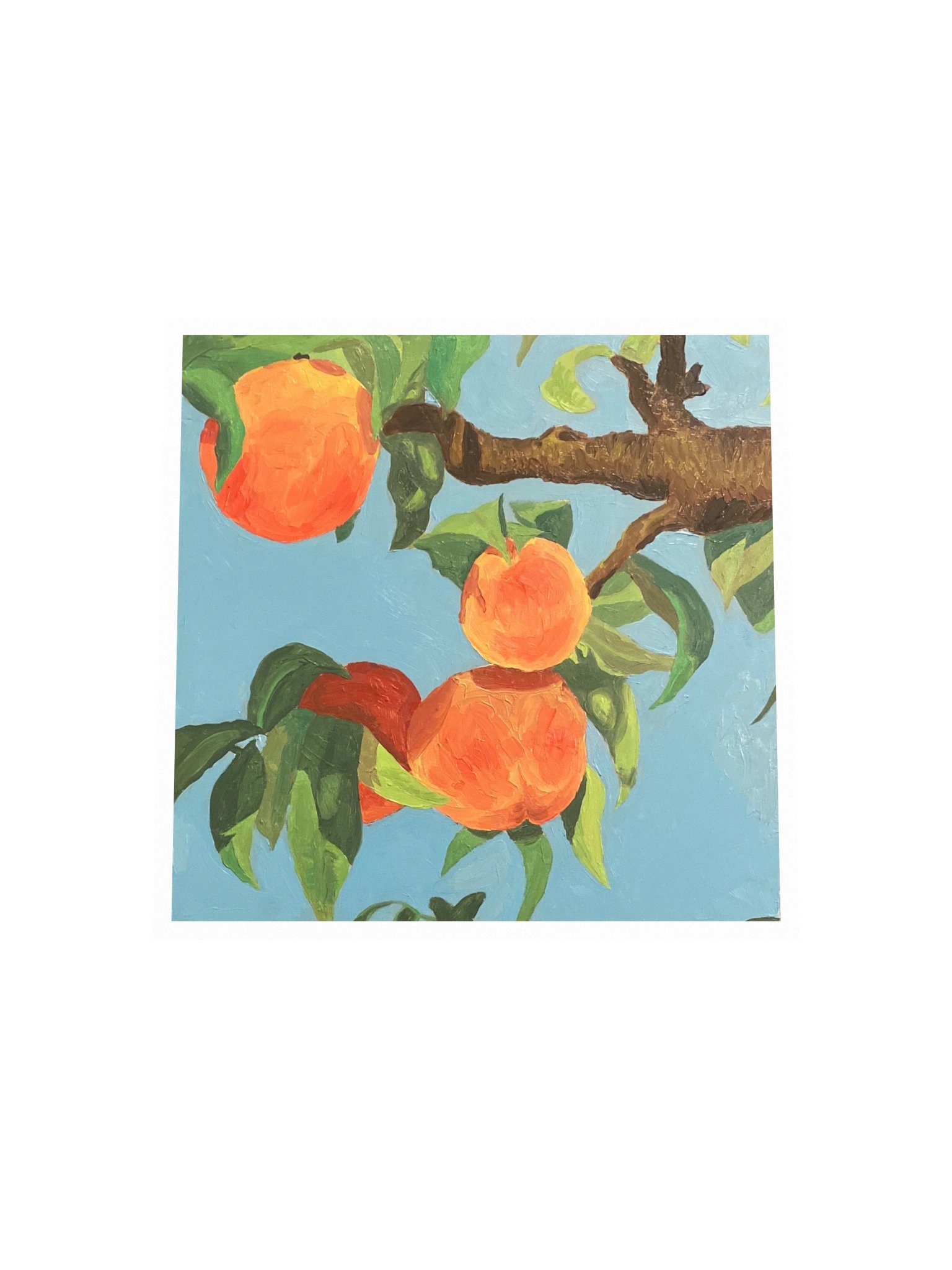 Bear Fruit Matte Paper Print product image (3)